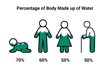 what percent of your body is water
